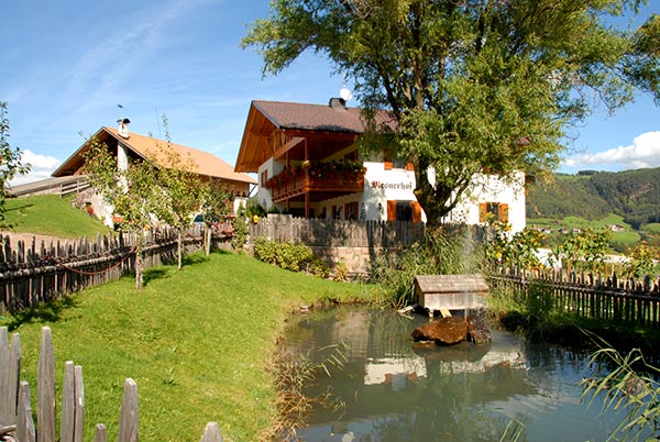 bauernhofurlaub suedtirol mesnerhof