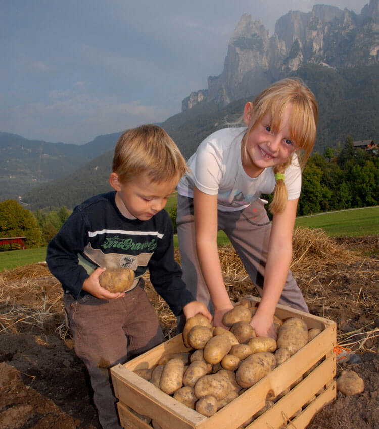 Erlebnisse am Bauernhof Mesnerhof – Freizeit in Völs am Schlern / Seiser Alm - Südtirol