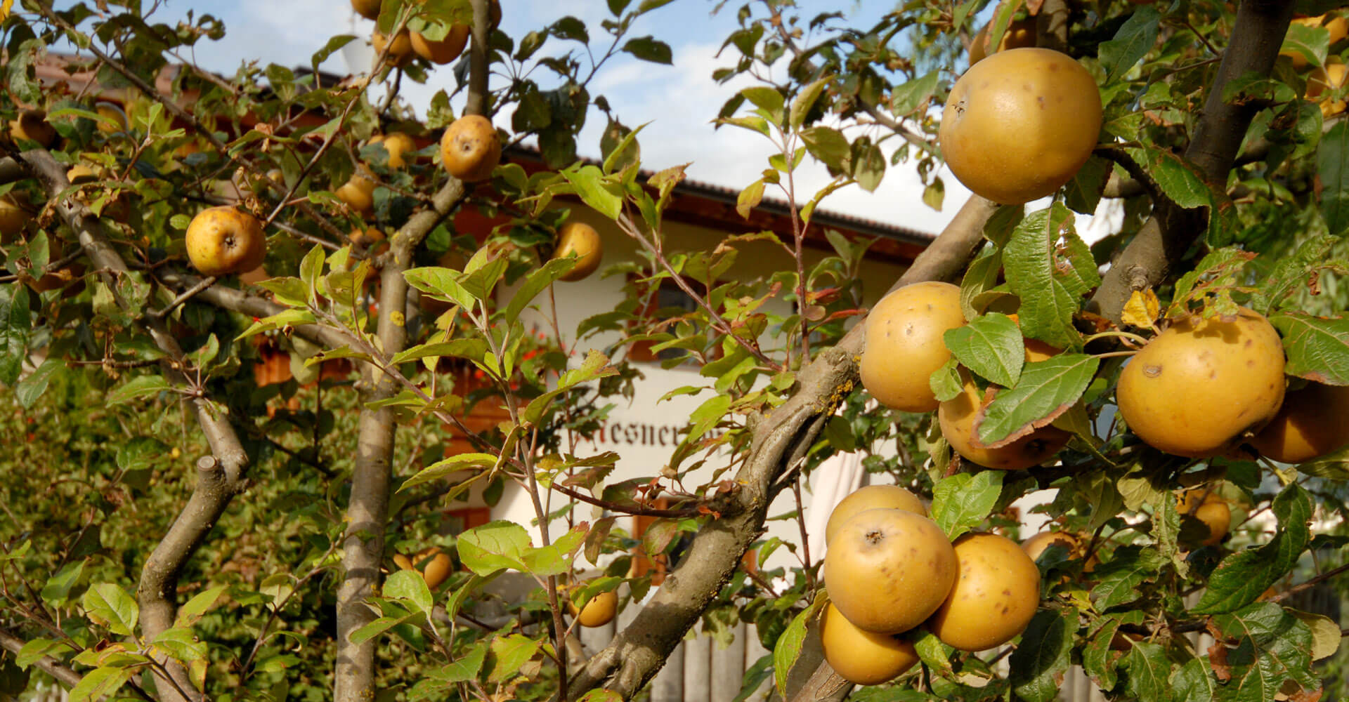 mesnerhof voels am schlern suedtirol 3