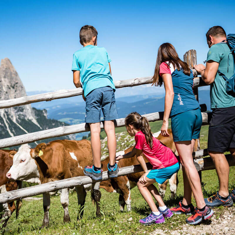 Naturgenuss IM URLAUB IN VÖLS AM SCHLERN