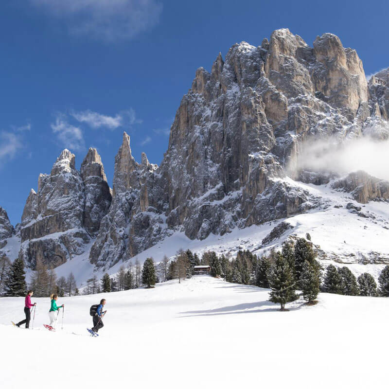 Pure varietà d’inverno vacanza Alpe di Siusi – Dolomiti 3