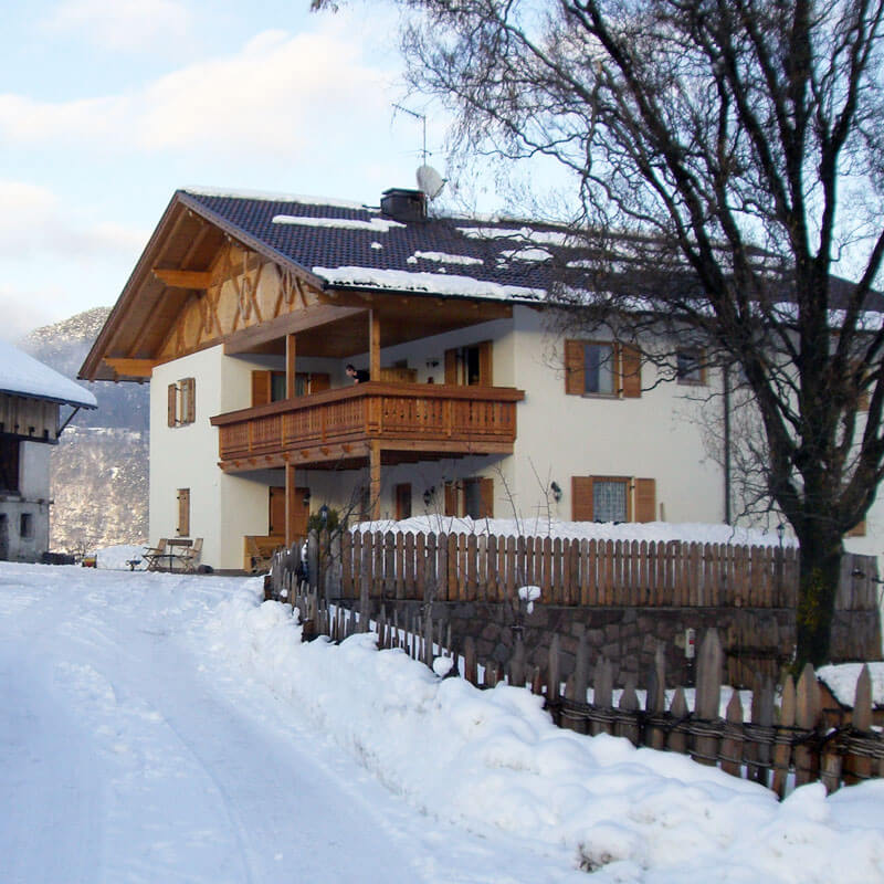 Pure varietà d’inverno vacanza Alpe di Siusi – Dolomiti